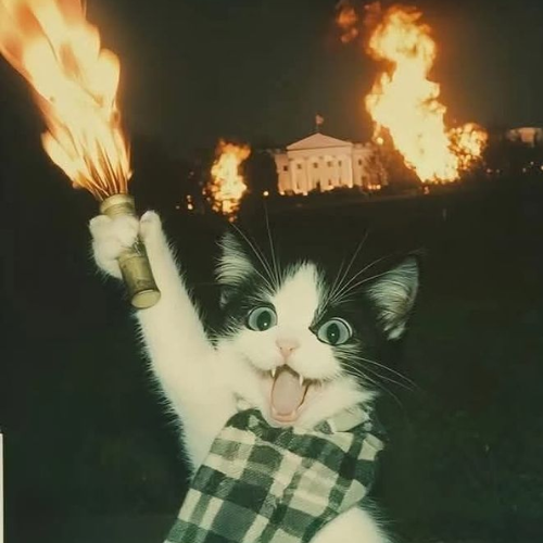 TORBURKIT 1